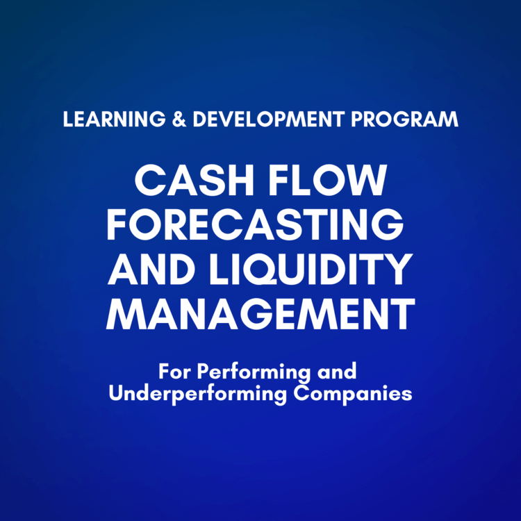 Cash Flow Forecasting and Liquidity Management